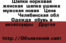 Шапки-норковая женская, шапка-ушанка мужская новая › Цена ­ 600-500 - Челябинская обл. Одежда, обувь и аксессуары » Другое   